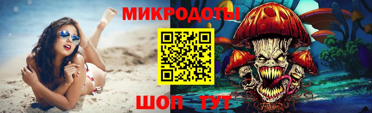 Псилоцибиновые грибы Cubensis Бирск